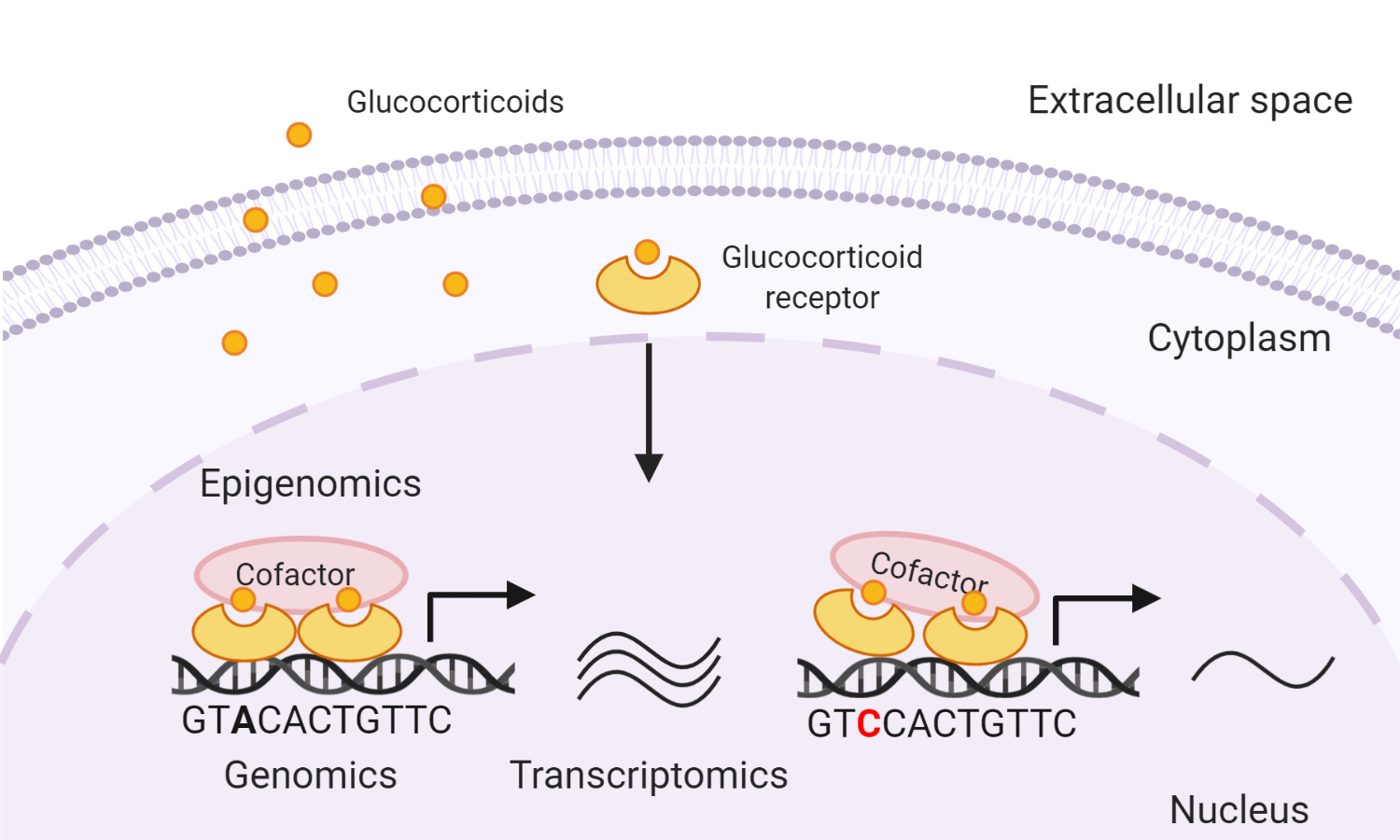 omics